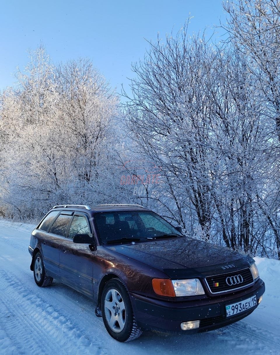 Audi 100