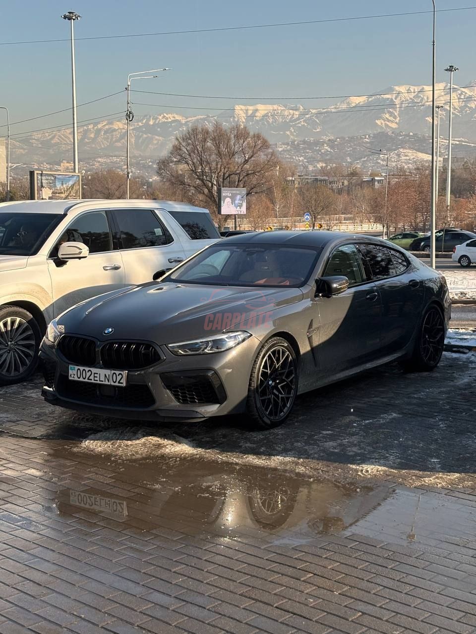 BMW M8
