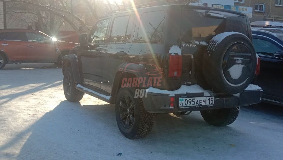 Tank 300