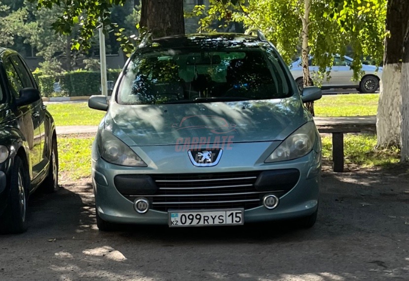 Peugeot 307