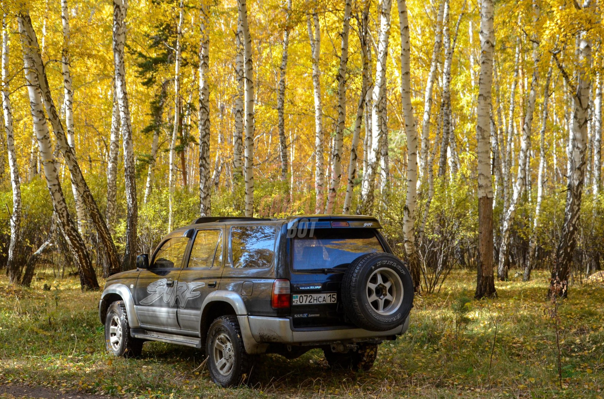 Toyota Hilux Surf